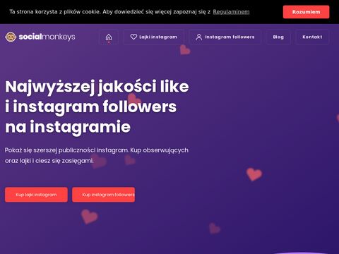 Socialmonkeys.pl like instagram