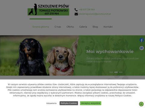 Szkoleniapsowtp.pl - tresura psów Józefów