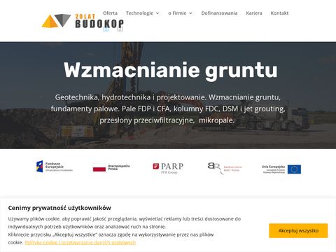 Budokop.pl wzmocnienia podłoża DSM