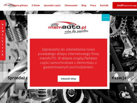 Mamauto.pl skup i sprzedaż używanych części