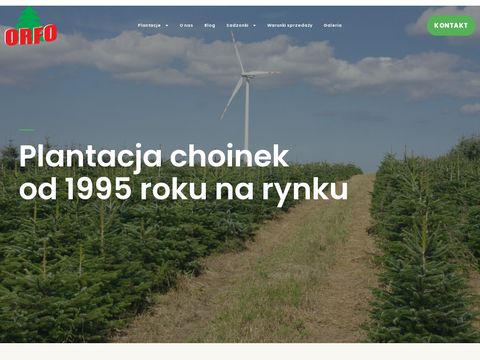 Orfo.pl choinki świąteczne