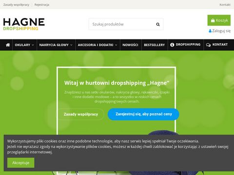 Dropshipping.hagne.pl