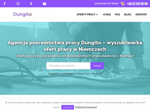 Dungito.pl - kierowca ce
