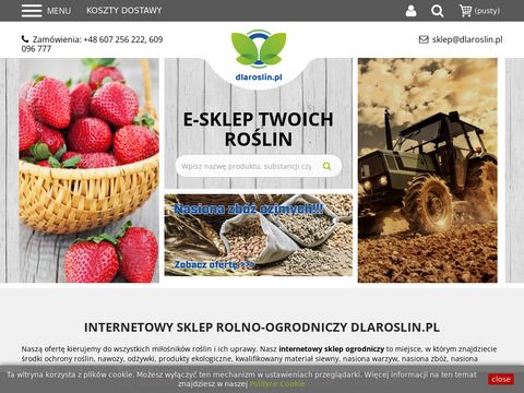 Dlaroslin.pl hurtownia roślin