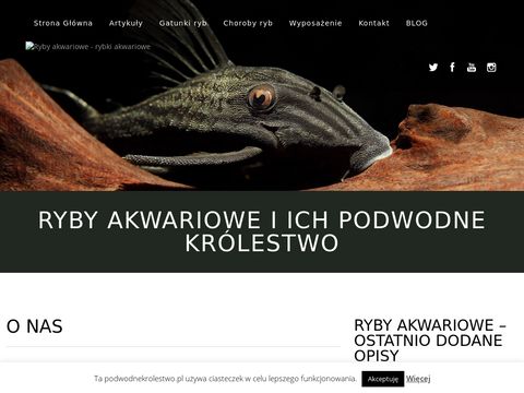 Podwodnekrolestwo.pl - świat ryb akwariowych