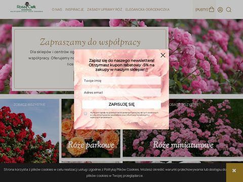 Rosacwik-sklep.pl róże poznań