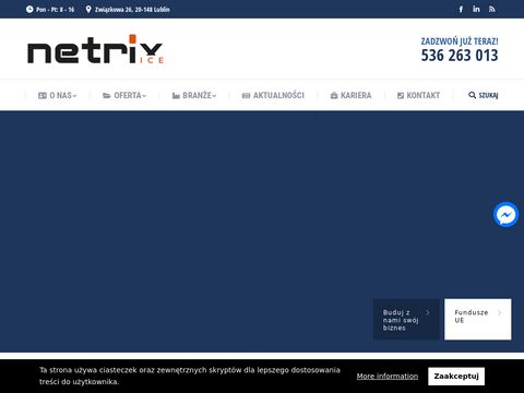 Systemy.netrix.com.pl oprogramowanie dla firm