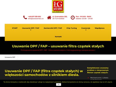 Usuwanie-dpf-fap.pl - filtr cząstek stałych