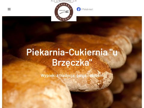 Brzeczek.com.pl tort jubileuszowy Pszczyna