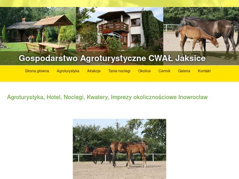 Agro-konie.pl - gospodarstwo agroturystyczne Cwał