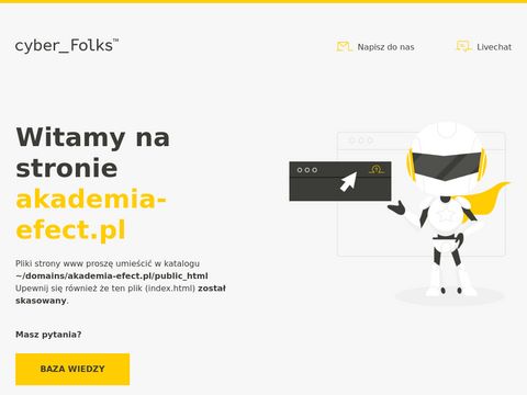 Akademia-efect.pl kurs na wózki widłowe