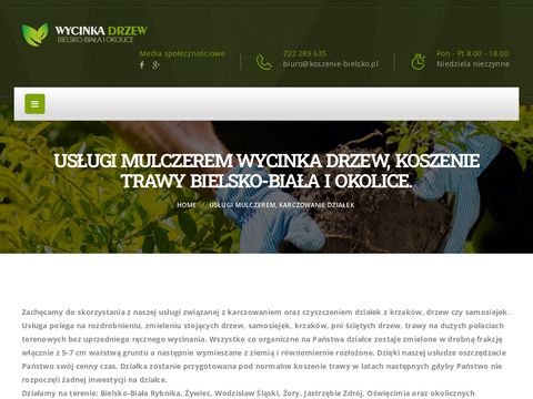 Koszenie-bielsko.pl Wycinka drzew