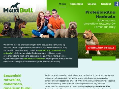 Maxibull.pl hodowla Doberman