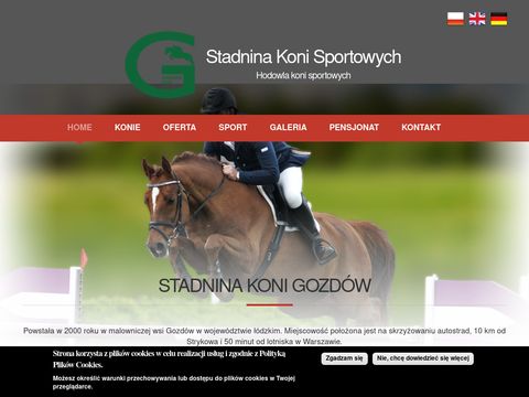 Skgozdow.pl skokowe konie sportowe