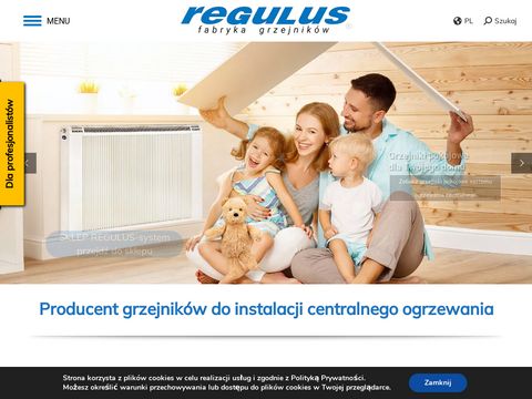 Regulus.com.pl grzejniki miedziano-aluminiowe