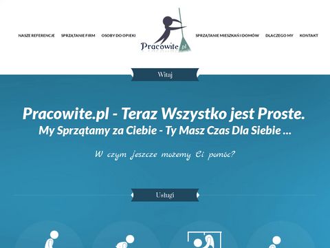 Pracowite.pl - sprzątanie domów Warszawa