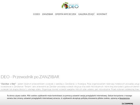 Zanzibarzdeo.pl atrakcje