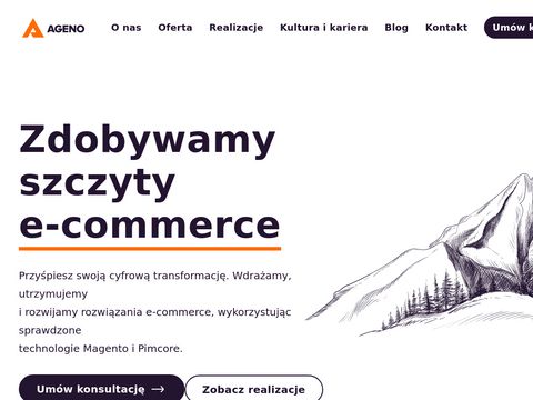 Ageno.pl - sklepy internetowe Bielsko