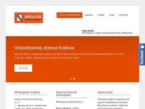 Brolog-minikoparka.pl usługi Kraków