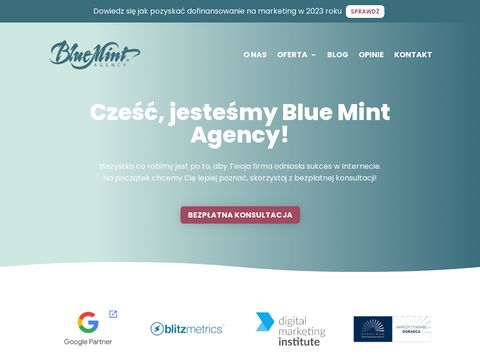 Blue Mint Agency