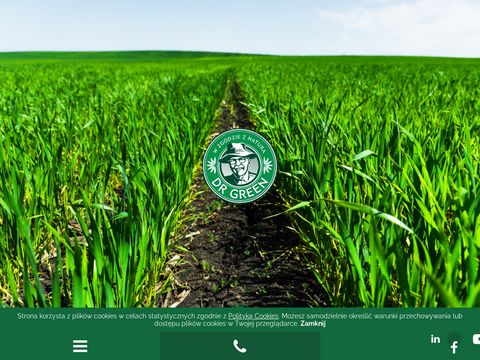 Dr-green.pl producent skutecznych nawozów