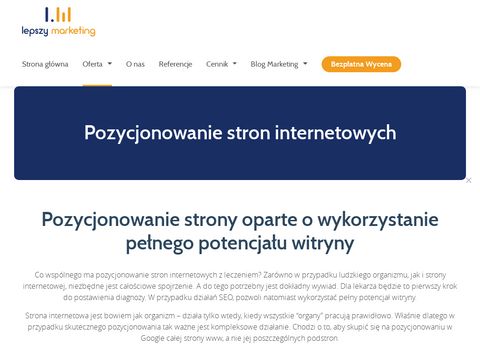 DwaPlusDobrze - strony i sklepy internetowe Poznań