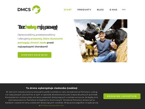 Dmcs.com.pl Mastan Forte