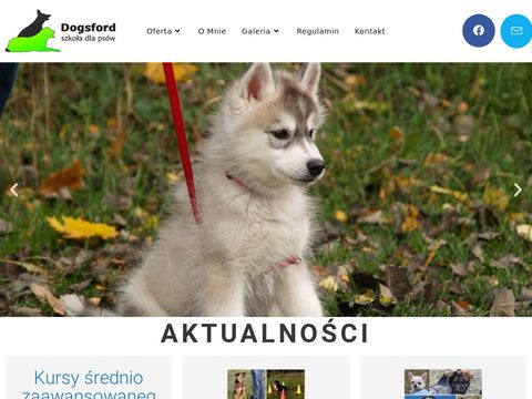 Dogsford - szkolenie psów Gdańsk, Gdynia, Sopot