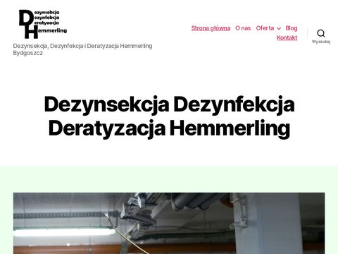 Dezynsekcjahemmerlingbydgoszcz.pl
