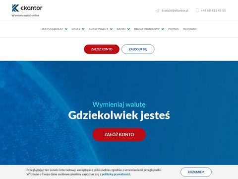Ekantor.pl internetowy