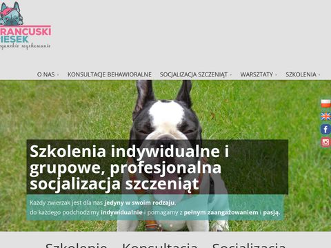 Francuskipiesek.pl szkolenie psów w Katowicach