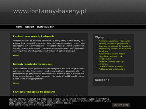 Fontanny-baseny.pl budowa serwis basenów
