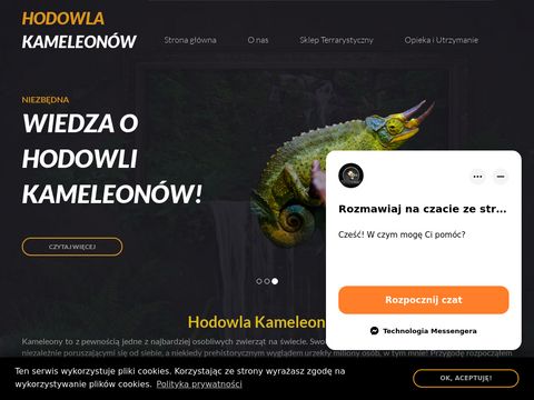 Hodowlakameleonow.pl