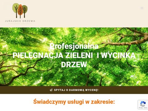 Jurajskiedrzewa.pl pielęgnacja i wycinka