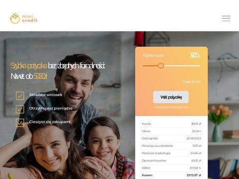 Mini-credit.pl - pożyczka przez internet