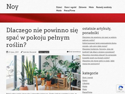 Noy.pl pomysły - jak tanio urządzić mieszkanie